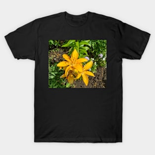 Yellow Lily T-Shirt